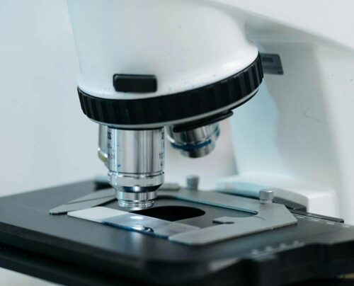 Mikroskop im MVZ Pathologie24 Bonn